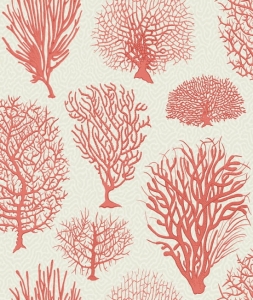 Tapeta dekoracyjna Cole&Son Archive Anthology Curio Seafern 107/2011