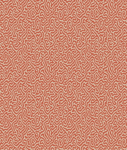 Cole&amp;Son Curio Vermicelli 107/4018