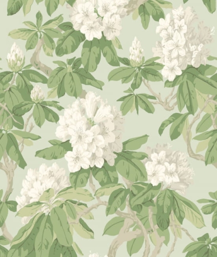 Cole&amp;Son Folie Bourlie 99/4022