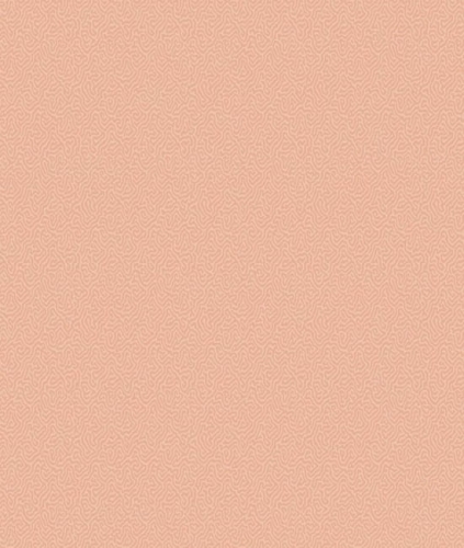 Tapeta dekoracyjna Cole&Son Landscape Plains Coral 106/5075