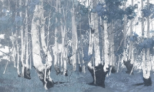 Tapeta Wonderwall Santal 35 0629 03