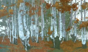 Tapeta Wonderwall Santal 35 0629 08