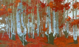 Tapeta Wonderwall Santal 35 0629 05