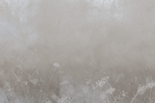 Pollen de fleur PK106.png