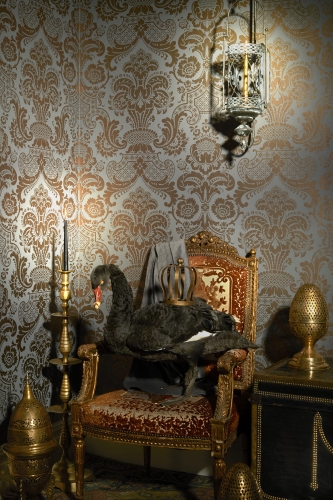 Cole&amp;Son Mariinsky Damask Carmen 108/2009