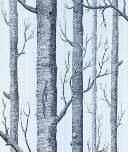Tapeta dekoracyjna Cole&Son New Contemporary Two Woods 69/12150