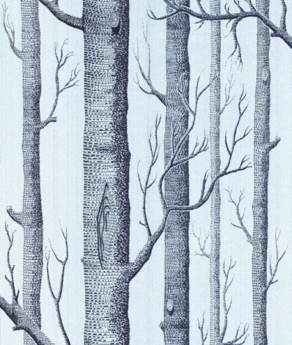 Cole&amp;Son New Contemporary Two Woods 69/12150