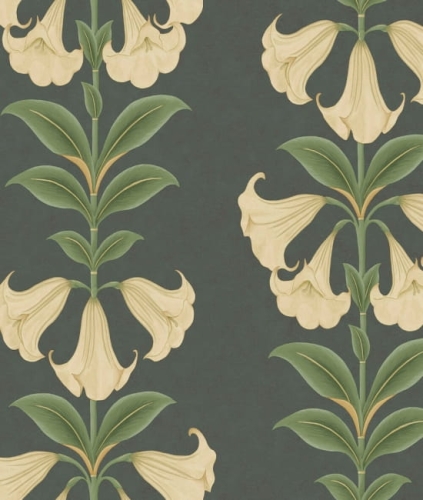 Cole&amp;Son Seville Angels Trumpet 117/3006