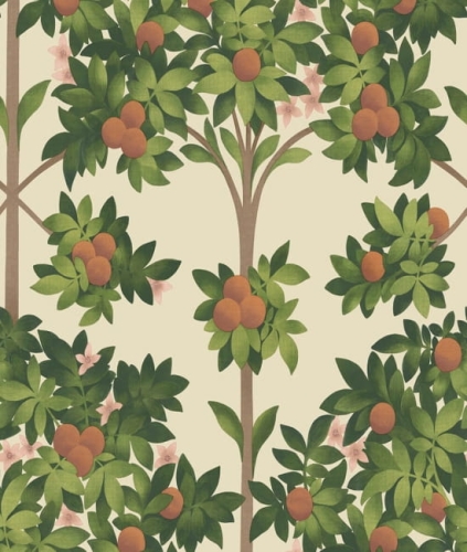 Cole&amp;Son Seville Orange Blossom 117/1001