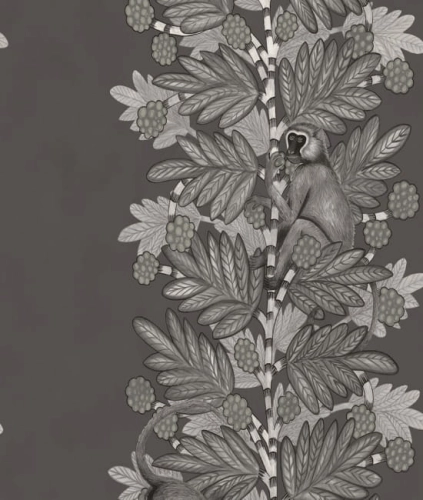 cole-son-ardmore-acacia-grafitowa-tapeta-z-malpami.jpg