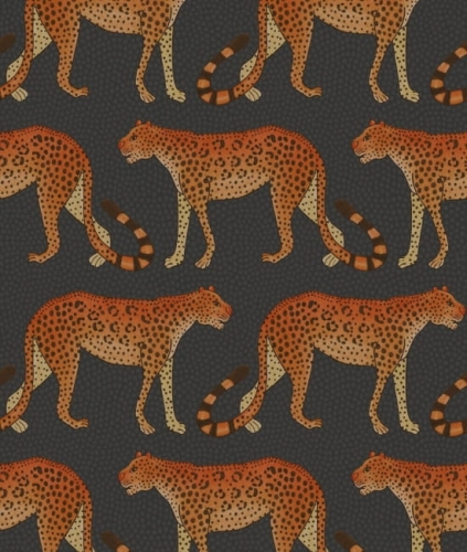 cole-son-ardmore-leopard-walk-pomaranczowe-lamparty-aranzacja.jpg