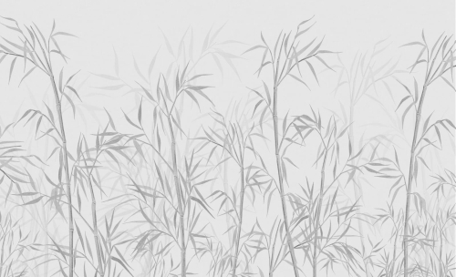 Grafika King Wall Bamboo 23.01.32.1.22