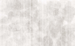 Grafika King Wall Estetic 23.01.11.1.22