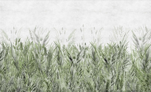 GRAS-strona.jpg