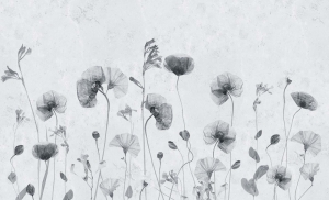 Grafika King Wall Lu 22.01.32.1.23