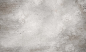 Grafika King Wall Nostra 22.01.16.2.23