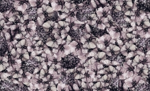 Grafika King Wall Orchidee 20.01.13.1.25