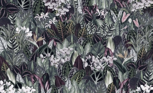 Grafika King Wall Paradisum 20.01.14.2.25