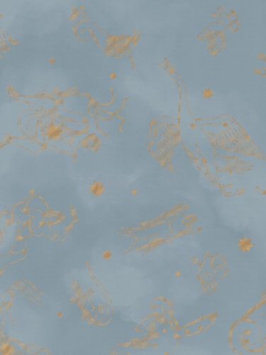 9562W_Constellations_Closeup.jpg