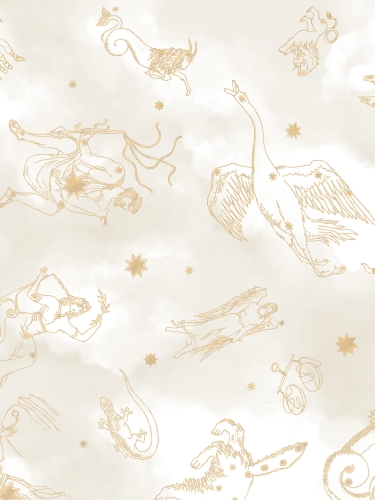 9563W_Constellations_Closeup.jpg