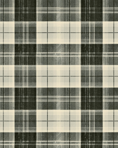 MINDTHEGAP Transylvanian Roots Countryside Plaid WP30011