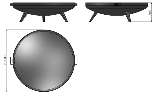 rysmisa1000.png