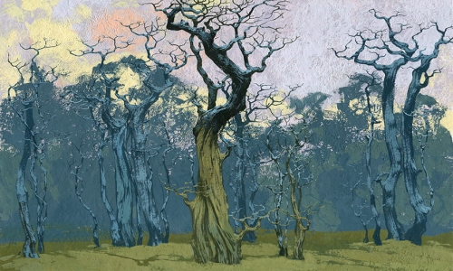 Tapeta Wonderwall Fangorn 35 0558 03
