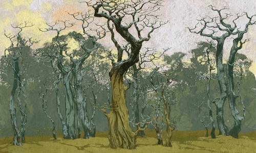 Tapeta Wonderwall Fangorn 35 0558 08