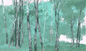 Tapeta Wonderwall Firen 35 0630 08