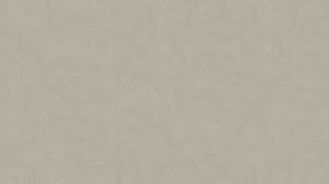 Spiek Silestone Basiq Royal Reef