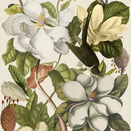 MINDTHEGAP The Florist Magnolia WP20152