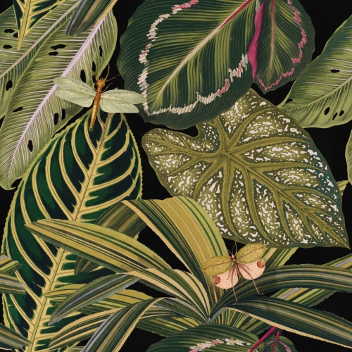 Tapeta MINDTHEGAP The Rediscovered Paradise Amazonia WP20159
