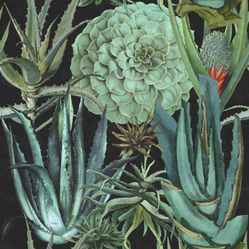 Tapeta MINDTHEGAP The Rediscovered Paradise Succulentus P20167