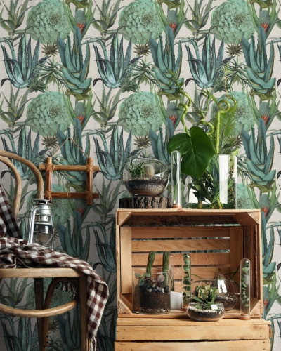MINDTHEGAP The Rediscovered Paradise Succulentus P20168