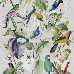 Tapeta MINDTHEGAP The Florist Tropical Birds WP20172