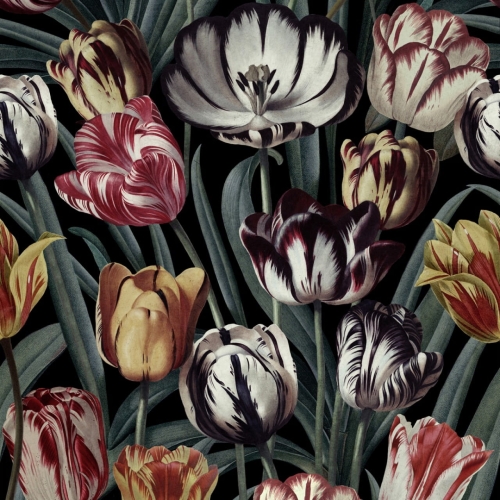 MINDTHEGAP The Florist Tulipa WP20177