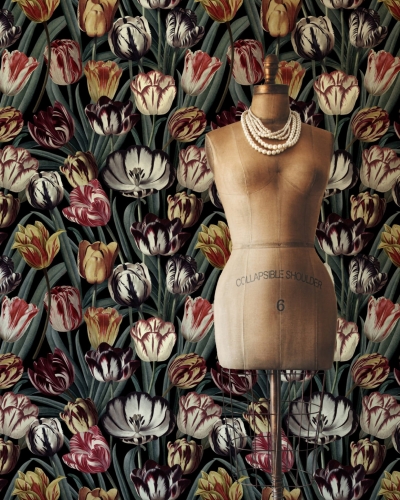 MINDTHEGAP The Florist Tulipa WP20177