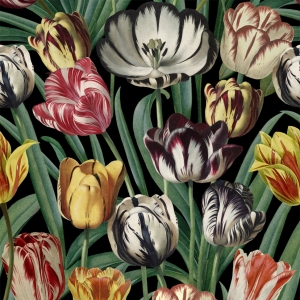 Tapeta MINDTHEGAP The Florist Tulipa WP20178