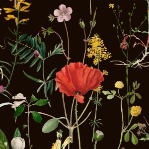 Tapeta MINDTHEGAP The Florist Aquafleur WP20173