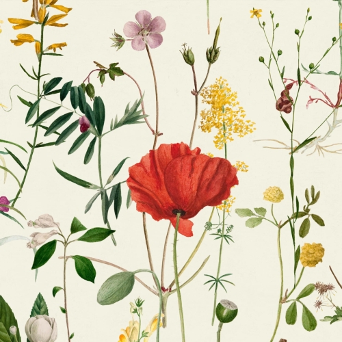 MINDTHEGAP The Florist Aquafleur WP20175