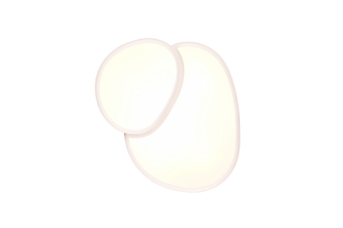 bac764ecd0c065256c1daaa19fff8359