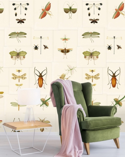 MINDTHEGAP The Antiquarian Entomology WP20233