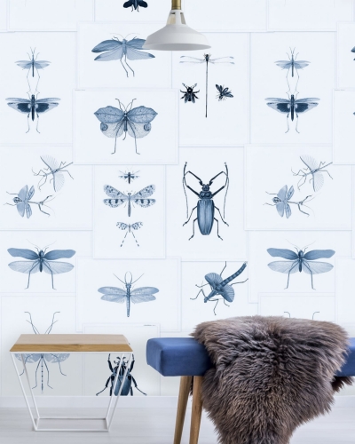 MINDTHEGAP The Antiquarian Entomology WP20235