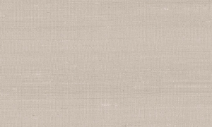 Tapeta Arte Paleo Latus A50506