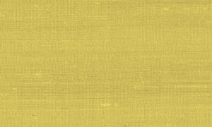 Tapeta Arte Paleo Latus A50507