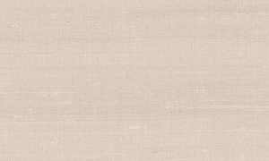 Tapeta Arte Paleo Latus A50512