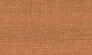 Tapeta Arte Paleo Latus A50514