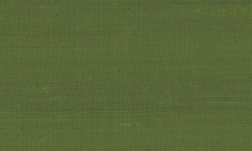 Arte Paleo Latus A50519