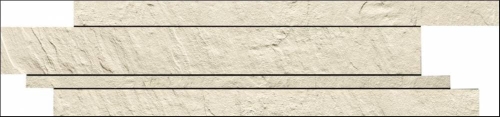 rotarP (12).jpeg