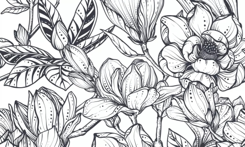 Graficzne kwiaty AW2023001-FLOtxt.jpg